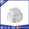 STAINLESS STEEL FORGED FITTING PLUG