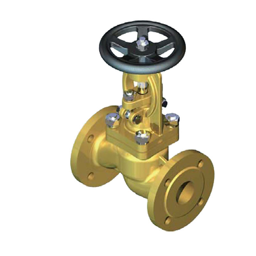 Angle Globe Valve