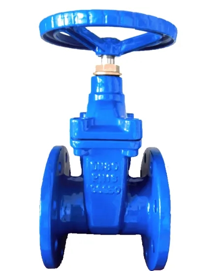 Ductile-Iron-Rubber-Wedge-Gate-Valve-DIN3202-F4-Pn16.webp_